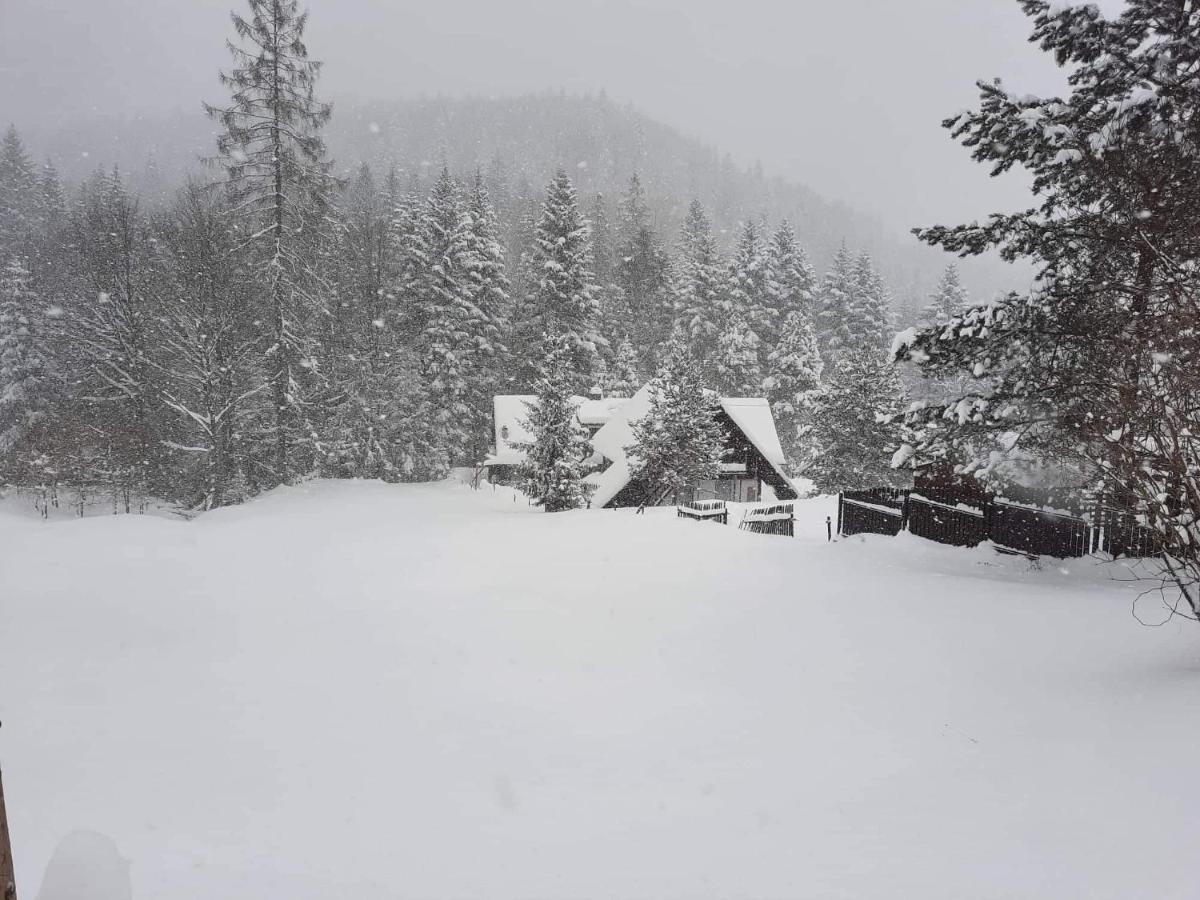 Appartamento Uroczysko Wisła Esterno foto