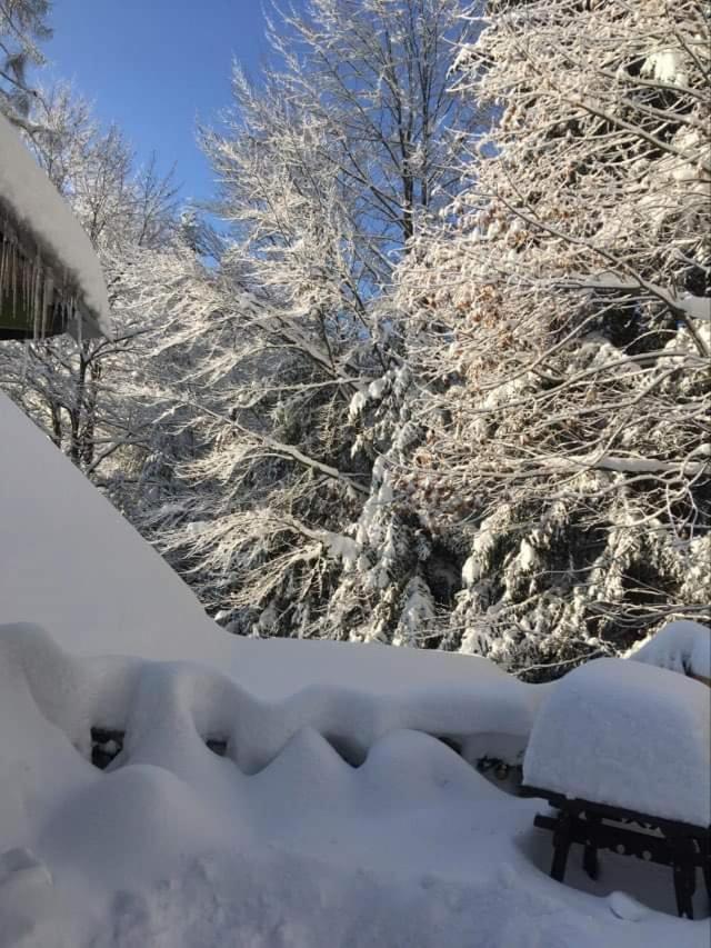 Appartamento Uroczysko Wisła Esterno foto